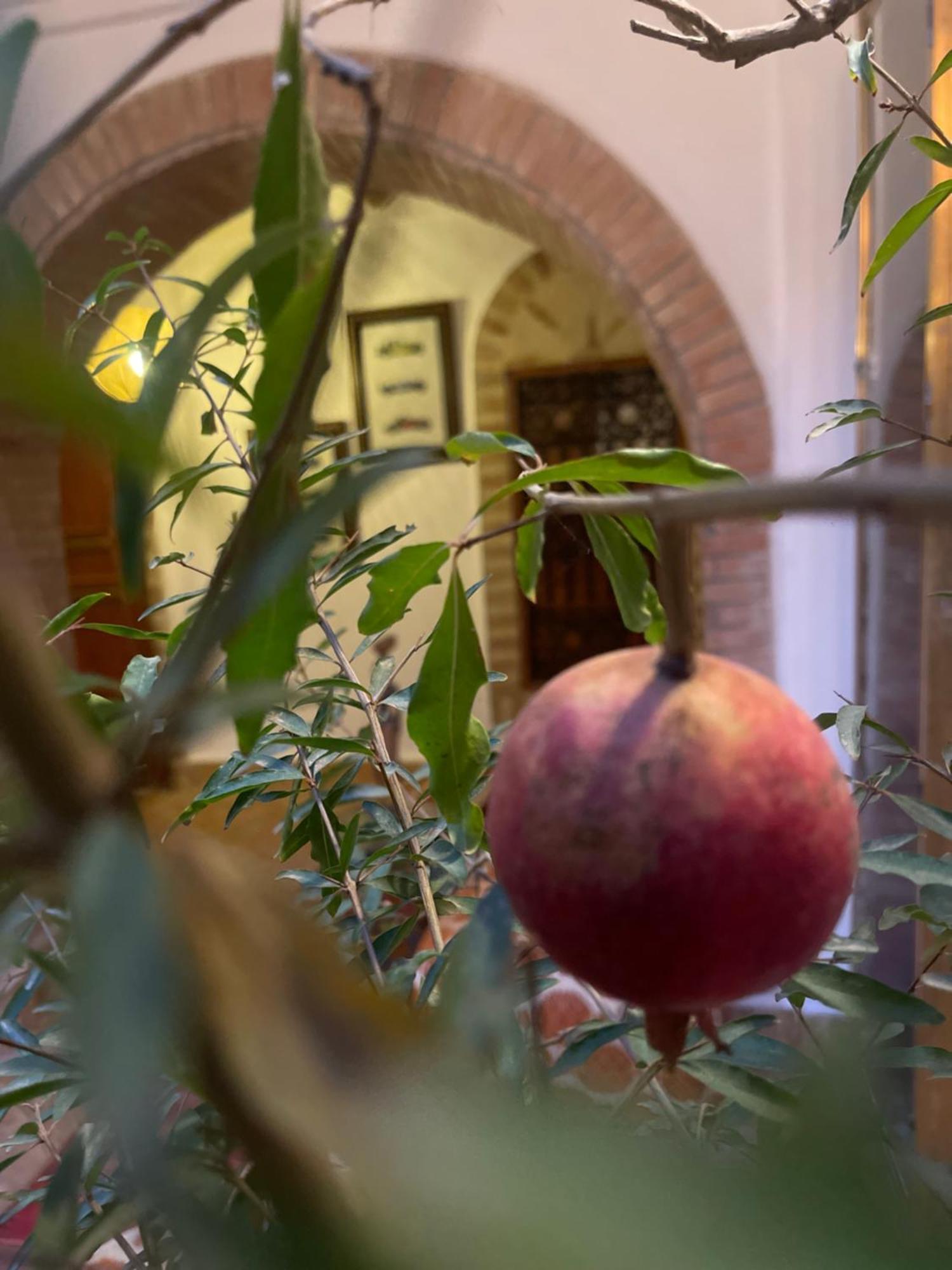 La Maison Berber Shams Марракеш Екстер'єр фото